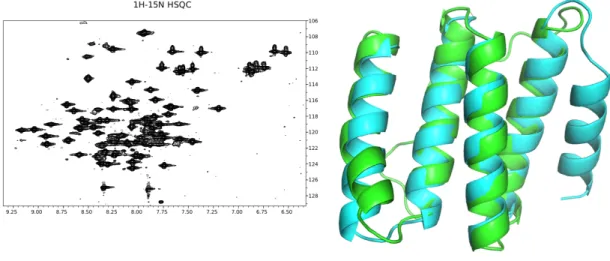 Figure 2.4: Structural analysis of discontiguous design DA05 via NMR reveals that the first four helices of the structure match well with the design model