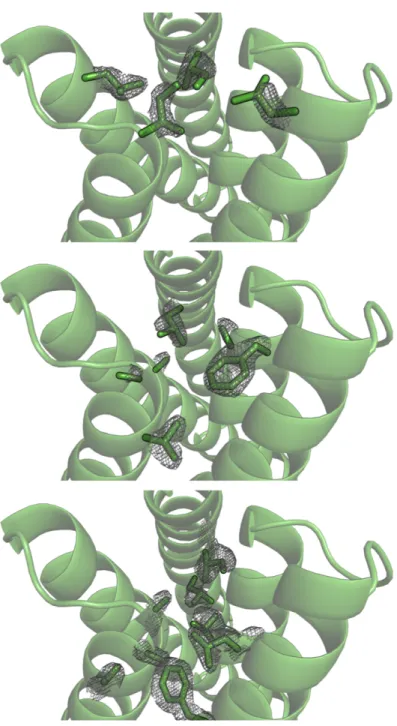 Figure S2.4: Design model CA01 superimposed with experimental electron density.