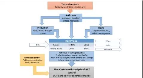 Fig. 1 Schematic showing the different components considered in the cost-benefit analysis: (i) tsetse abundance (orange) and (ii) control costs (yellow)generated as a function of control programme, and (iii) herd model (blue) which generates herd value as a function of baseline production andtsetse abundance