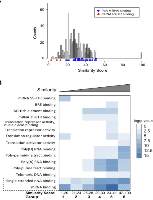 Figure 2.5 Gene Ontology analysis of human RBPs with multiple RRMs.   