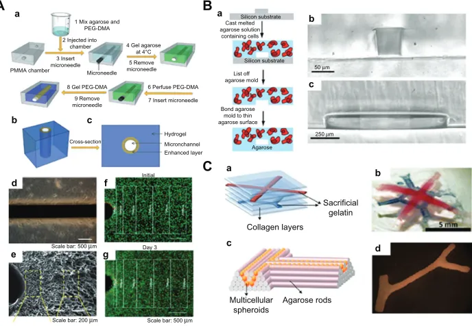Table 1 Different methods for fabricating three-dimensional nanostructured scaffolds