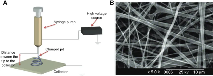 Figure 2 Electrospinning technique for three-dimensional biomimetic scaffold fabrication