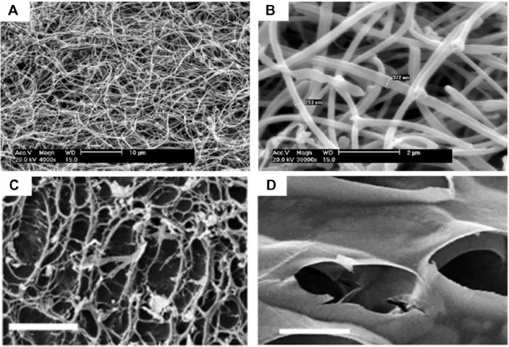 Figure 3 Scanning electron micrographs of nanostructured scaffolds fabricated by phase-separation and freeze-drying