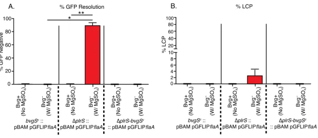 Figure 2.S7. In vitro modulation of constitutively-active bvgS strains using the plasmid  reporters pGFLIP-flaA and pBam