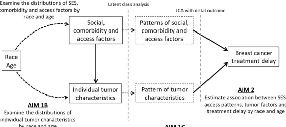 Figure 3.1. Summary of aims 