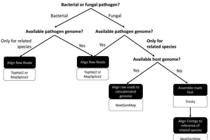 Figure 2.5: Suggested Workflow for dual RNA-seq Experiments of non-model host–pathogen  systems 