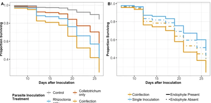 Figure 3.4: Parasite inoculation increased leaf mortality. Model-estimated relative risk of leaf  death over time