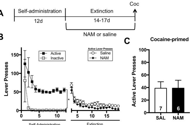 Figure  2:    The  effects  of  chronic  NAM  administration  are  specific  to  cue-primed  reinstatement
