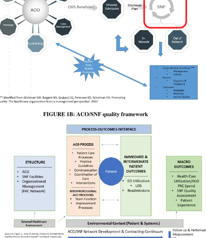 FIGURE 1B: ACO/SNF quality framework  