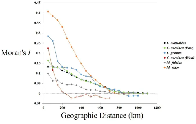 Figure 2.7. Moran’s I spatial correlograms for PC1 in L. elapsoides, Eastern C. coccinea, L