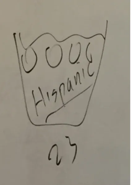 Figure 6 - The "Hispanic Basket" 