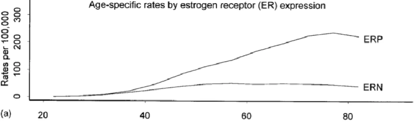 Figure 1.5. Average annual age-specific rates stratified by estrogen receptor-positive (ERP) and - -negative (ERN)