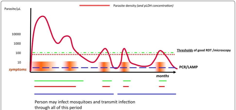Fig. 2 Stylized time course of an untreated Plasmodium falciparum infection in a host, and the impact of varying thresholds of detection on assay positivity