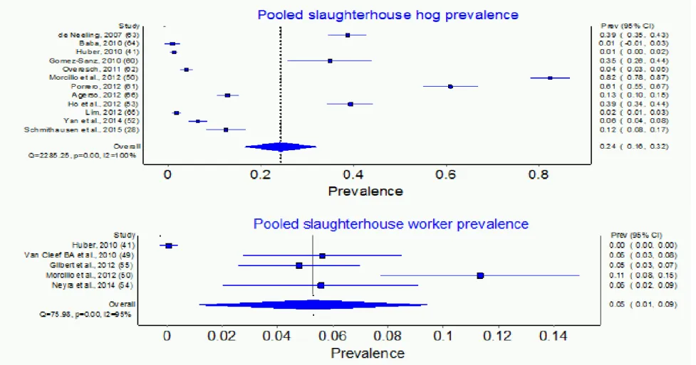 Figure 3. Summary of LA-MRSA prevalence in slaughterhouse hogs and slaughterhouse workers 