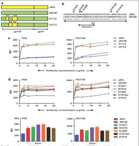 Fig. 4 The entire V2 region of JRCSF is the primary determinant of JRCSF specificity towards PG9/PGT145 class of bNAbs