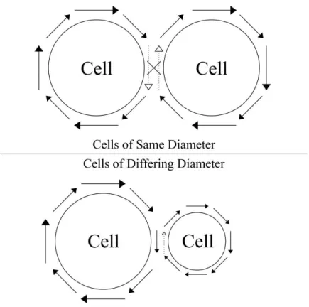 Figure 1.2: A cartoon of the current flow induced around cells. Top.) Cells of equivalent  radius have offsetting electric fields between them, resulting in a net current flow 