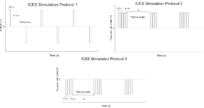 Figure 2.2: Representative drawing of the ICES stimulation protocols used throughout  the experiments presented herein