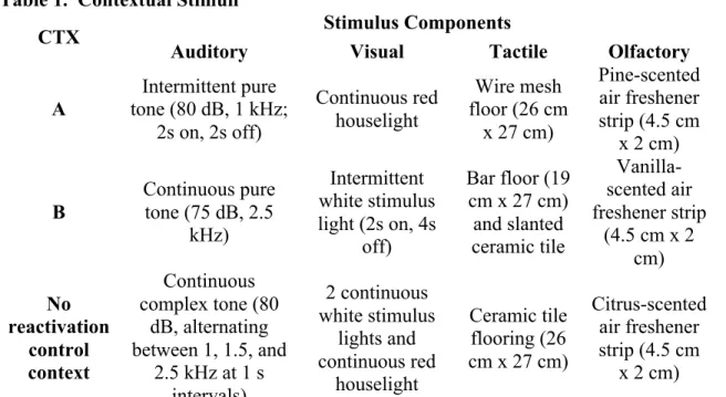 Table 1.  Contextual Stimuli 