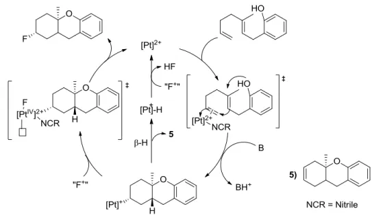 Figure 3: Steroid Backbone Numbering Convention 