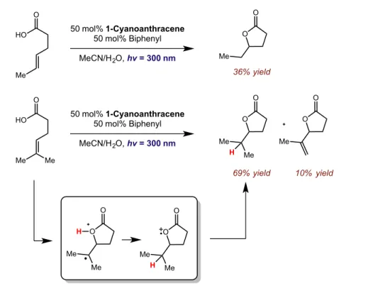 Figure 2.6: Intramolecular photoinduced lactonization 