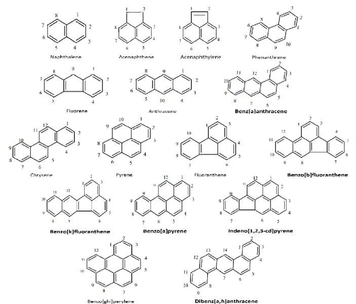 Figure 1. Numbered structures and nomenclatures of the 16 PAHs on the EPA priority pollutant  list