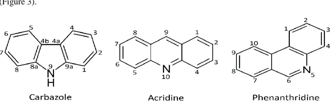 Figure 3. Structures of 3 azaarenes of interest in this research. 