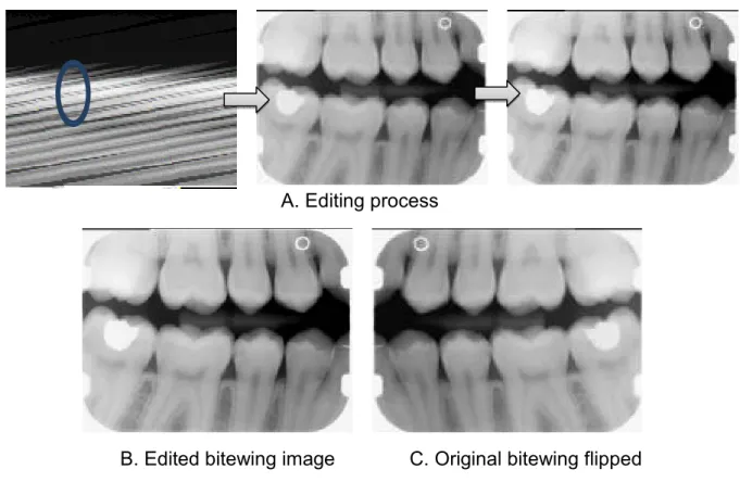 Figure 1. Image-editing Process 
