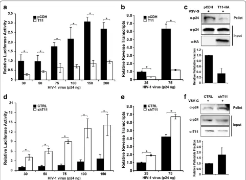 Fig. 6 TRIM11 restricts HIV-1 early stage of replication in THP-1 cells. with 100 nM PMA for 48 h followed by infection with indicated amounts of HIV-1 and viral transduction was analyzed by luciferase activity at 48 h post infection (followed by infection