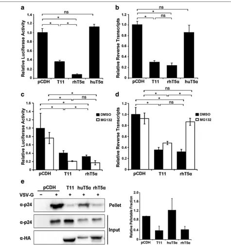 Fig. 3 Comparison of the effects of different TRIM proteins on the early stages of HIV-1 replication