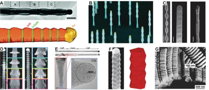 Figure 1.3: Methods for bottom-up control of NW morphology. (A) Diameter modulation of III–V VLS-grown NWs; scale bar, 100 nm