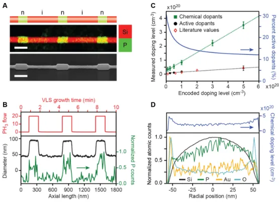 Figure 4.2: Characterization of P doping in VLS-grown Si NWs. (A) Top: Schematic of a Si NW with intrinsic (i) sections depicted in red and P-doped, n-type (n) sections depicted in green.