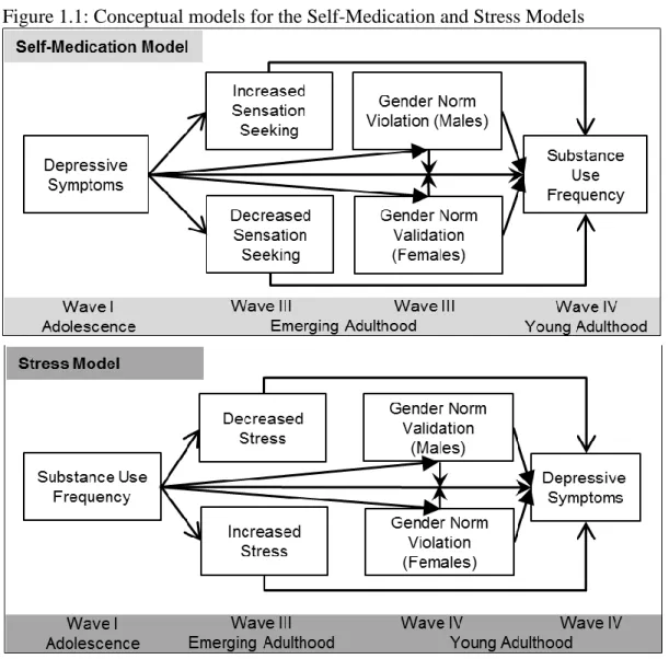 Figure 1.1: Conceptual models for the Self-Medication and Stress Models 