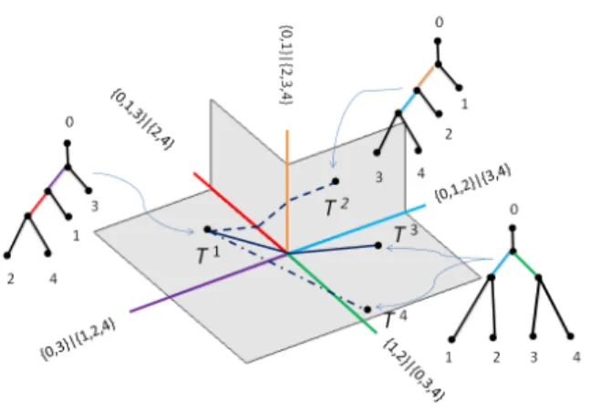 Figure 1.3: Three examples of shortest paths in T 4 . All three paths are shortest paths between pairs of trees.
