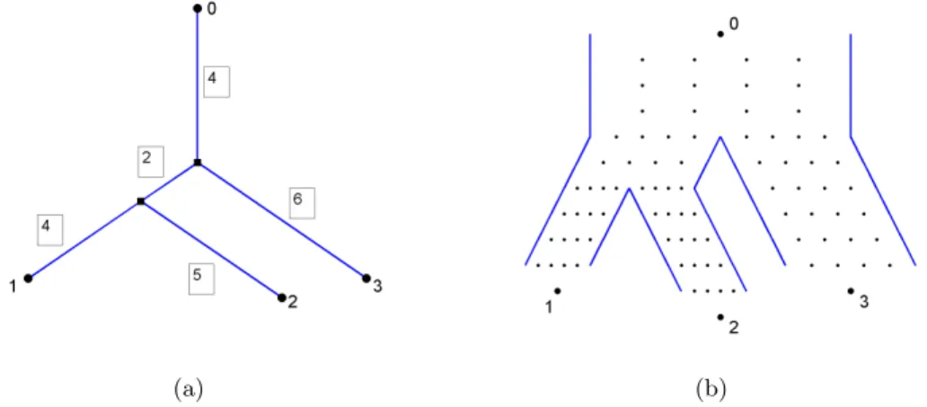 Figure 2.9: (a) A template phylogenetic tree with 4 leaves and edge lengths in boxes. (b) The corresponding population genealogical tree has the same topological structure as the template tree