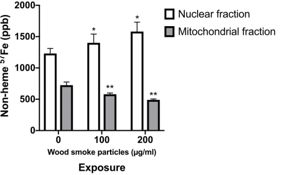 Figure 1.4. Iron concentrations epithelial cell mitochondrial fractions after exposure to wood  smoke particles (WSP)