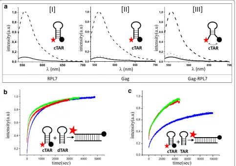 Fig. 6 DNA and RNA annealing activity of RPL7. fitted by a bi‑exponential equation and values of the kinetic rate constants were reported in Table Dabcyl and thus restores Rh6G emission