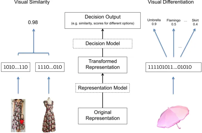 Figure 1.1: The representation model and the decision model for visual similarity and differentiation