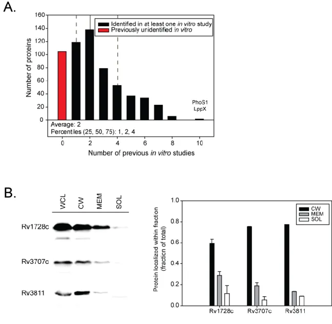 Figure 2.8. EXIT identified new exported proteins. A. Proteins identified as exported by EXIT were  compared with previous studies to determine how many previous studies had identified them as exported