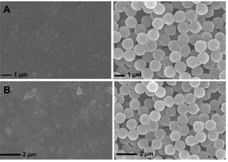 Figure 3 (A and B) Morphological stability of polydiacetylene vesicles (PDAVs) at different conditions