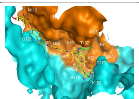 Fig. 2 Molecular docking of C‑A1 (in yellow) in HIV‑1 hexameric capsid structure 4XFZ.pdb with bound PF‑74 (in green) using the Compute: SiteFinder option in MOE software