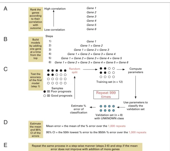 Fig 3. Cross-validation procedures in model building and estimation of the prediction error by permutation.