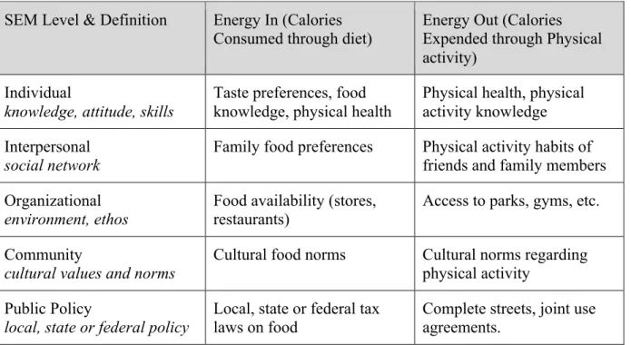 Table 2: Social-Ecological Model (SEM) levels/definitions and examples related to energy  balance 