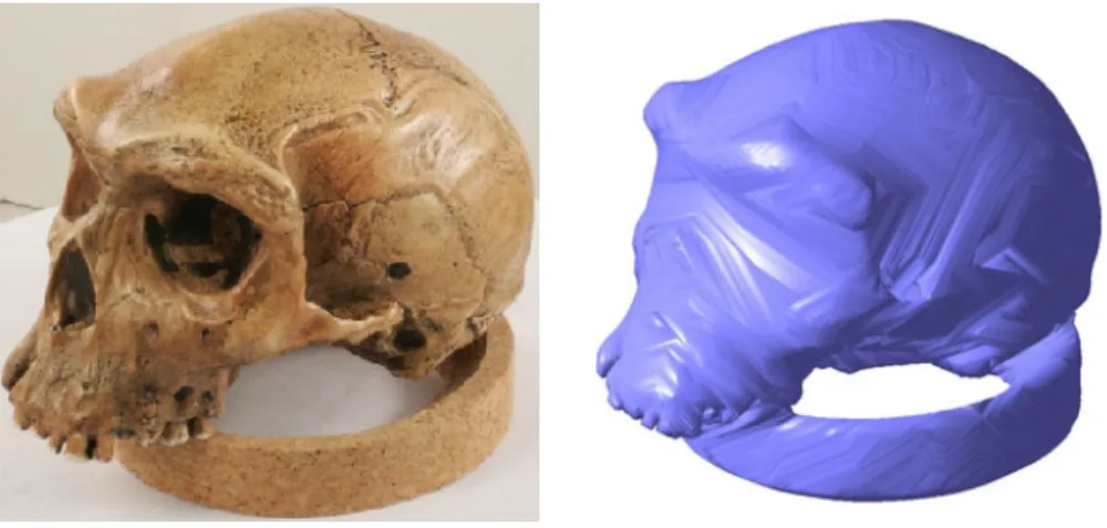 Figure 2.3: 1 Left: the same skull model as in Fig. 2.5; Right: its visual hull from 24 images