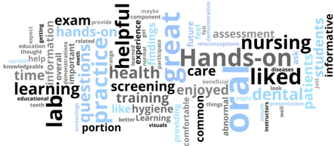 Figure 1. Immediate post-survey comments ©Wordle.net 