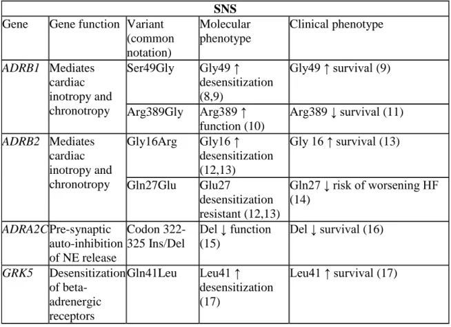 Table 3. Gene function and molecular and clinical phenotypes of candidate SNS genetic   variants 