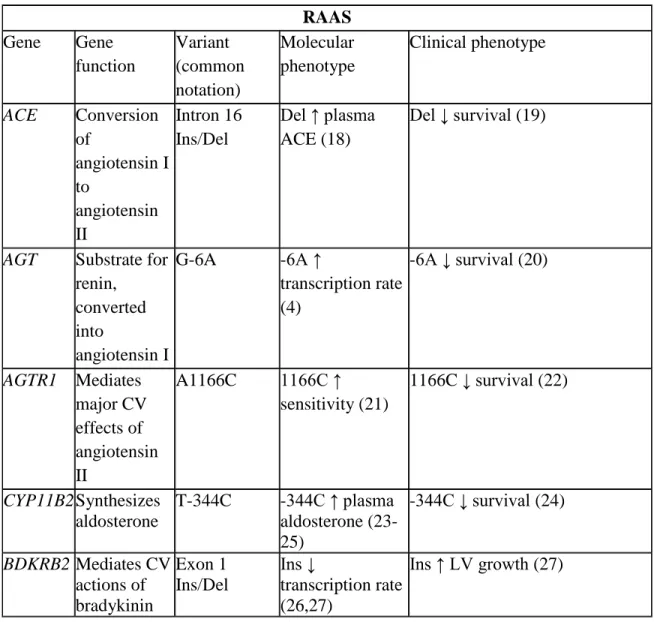 Table 4. Gene function and molecular and clinical phenotypes of candidate RAAS  genetic variants  RAAS  Gene  Gene  function  Variant  (common  notation)   Molecular  phenotype  Clinical phenotype  ACE  Conversion  of  angiotensin I  to  angiotensin  II  I