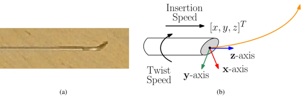 Figure 1.2: (a) Steerable needle with a pre-bent bevel-tip. The shaft of the needle is flexible and the reaction forces from the tissue cause the needle to follow curved paths when inserted