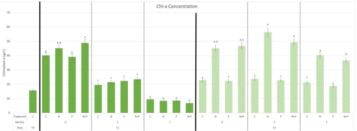 Figure 7. Chlorophyll-a concentration in each treatment at T0, T1, and T2. 