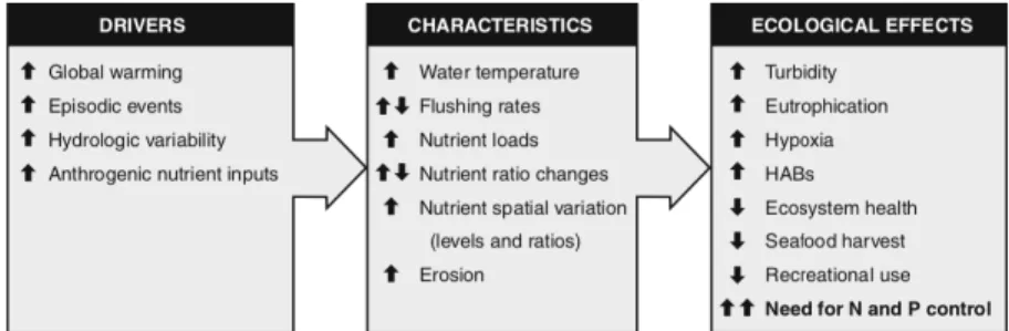 Figure 2. Potential interactions among  anthropogenic drivers, changes, and  effects on estuarine and coastal ecology  and resource use
