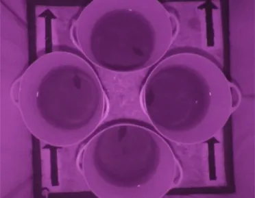 Figure 5. Image of the experimental platform where all experiments were filmed. Each of